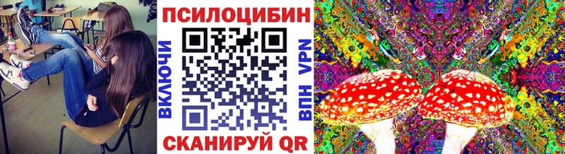 хочу   Шатура  Псилоцибиновые грибы Psilocybe 